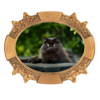 Special Order Oval Bronze Photo Frame #2