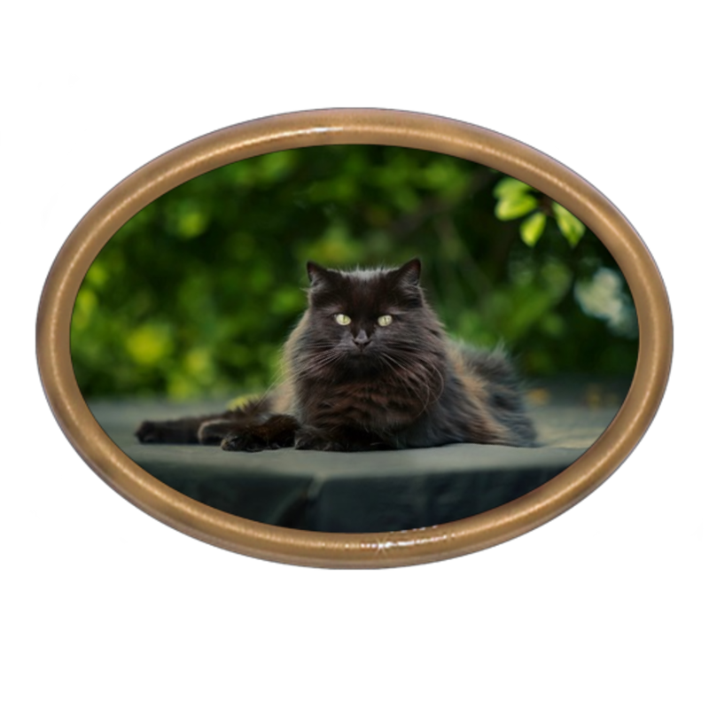 Plain Oval Memorial Photo Frame Landscape with cat