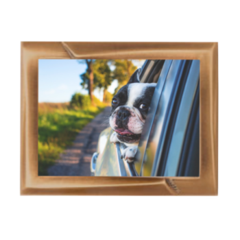 Special Order Rectangle Bronze Photo Frame #1