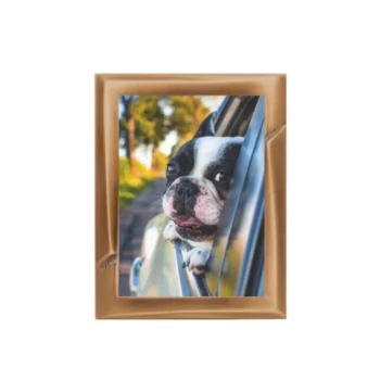 Special Order Rectangle Bronze Photo Frame #1
