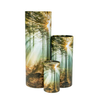 Scenic Scatter Tube Urns – Forest Light
